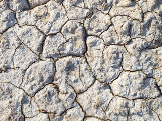 drained earth with deep cracks