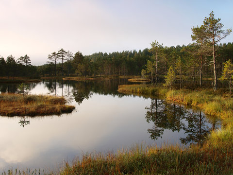 Landscape of Kõnnu Suursoo (Suru Bog)