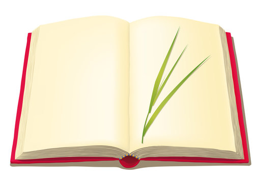 libro aperto