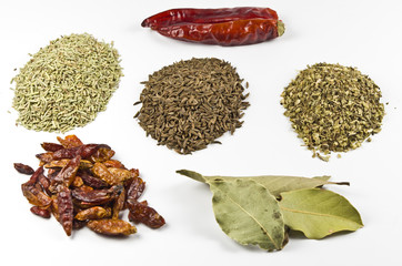 Verschiedene Gewürze