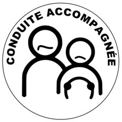 Obraz premium Conduite accompagnée pas content