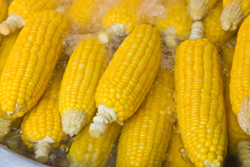 fresh corn in boiling water