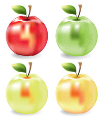 Apples