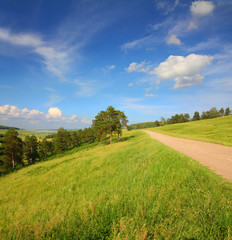 Fototapeta na wymiar summer landscape with road