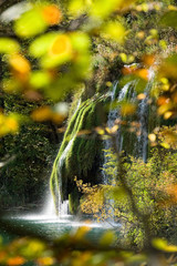 Waterfall with leaves