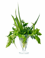 Greenery herbs assortment