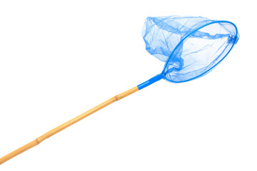 blue butterfly net