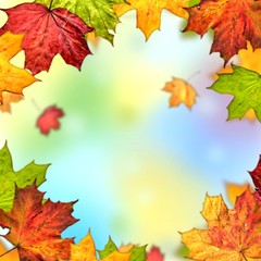 Naklejka na ściany i meble colorful autumn leaves frame