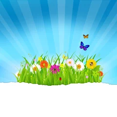 Foto op Plexiglas Lieveheersbeestjes Groen gras met bloemen en papier