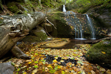 a small waterfall covered in autumn foliage. Long exposure shot