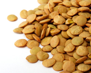 Brown lentils scattered on white background