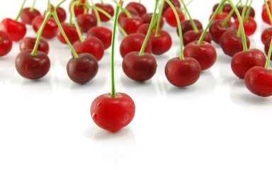Cherries on white background