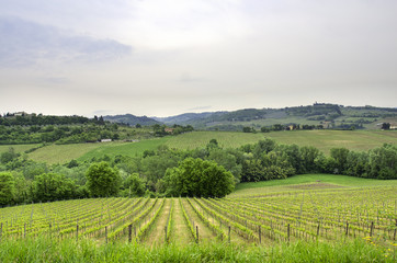 Fototapeta na wymiar paesaggio collinare in Toscana