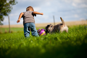 Kid and dog in peace full play