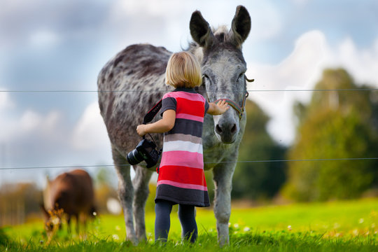 Country side with girl and donkey