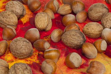 walnuts and hazelnuts