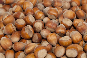 hazelnut