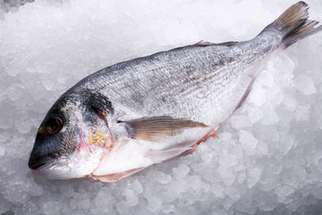 Raw fish dorado