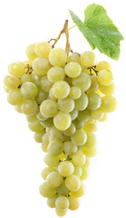 Grapes on a white background.