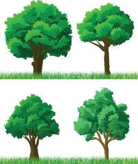 Green trees - 35970516