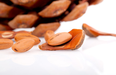 pine nuts on white