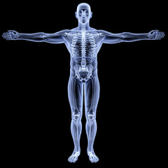 body