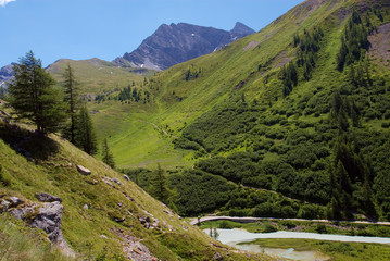 Fototapeta na wymiar Alpejska Dolina