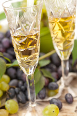 wine sampling