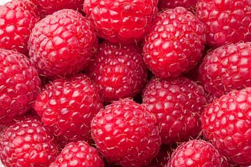 Raspberries close up. Macro photo.