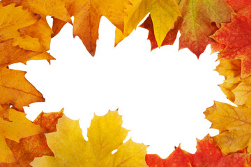 Naklejka na ściany i meble Colorful frame of fallen autumn leaves