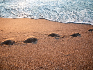 tracks on the beach
