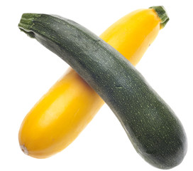 Golden Yellow and Green Zucchini