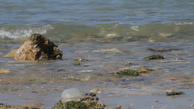 Waves and stones on the beach of Tel Aviv.