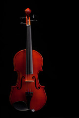 le violon