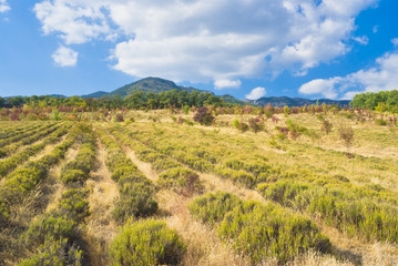 Vivid landscape in Crimean mountains at fall season.