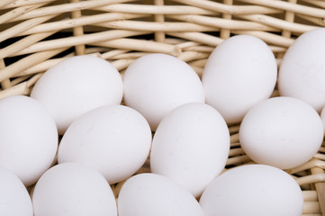 Eggs