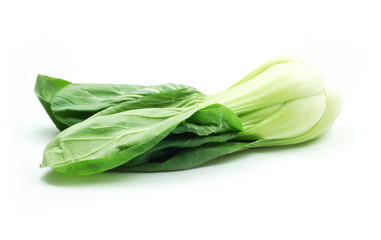 Pak choi isolated on white background