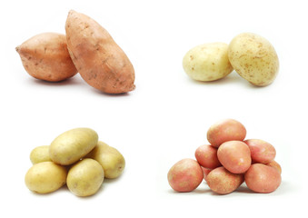 Four varieties of potatoes on white background