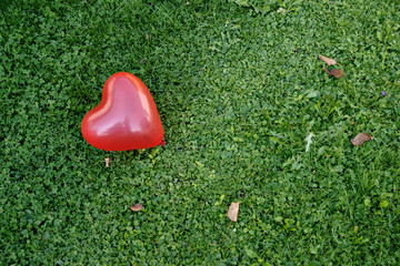 Herz Luftballon Wiese