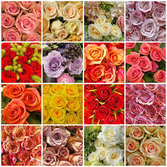 collage with roses