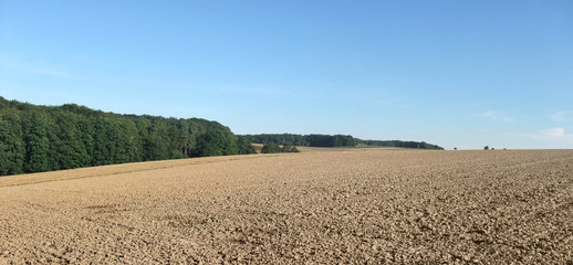 agricultural scenery