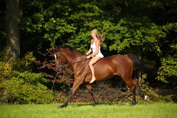 Reiten