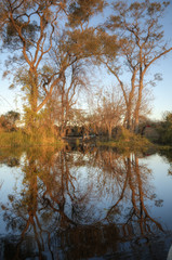 Obraz premium Okavango Delta - Botsuana / Botswana - Africa