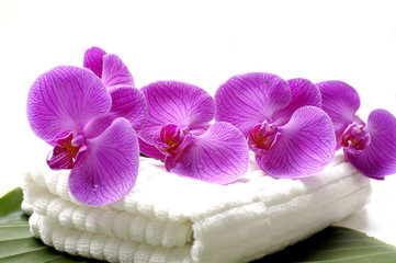 Fresh Orchid and towel on banana leaf in Spa