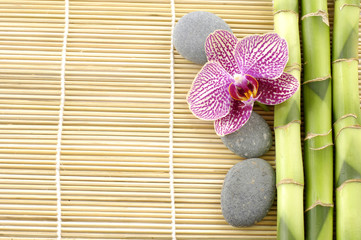 pink orchid with stones and bamboo stem on bamboo mat