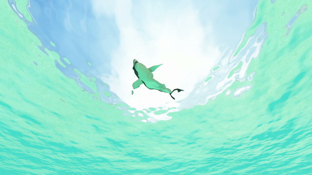 サメ