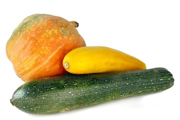 pumpkin and zuccini fruits