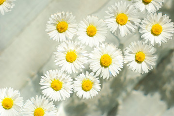 herbal chamomile flowers in aroma bowl