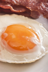 fried egg with bacon close up