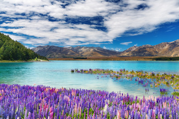 Naklejka premium Lake Tekapo, New Zealand